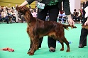 Crufts2011 163